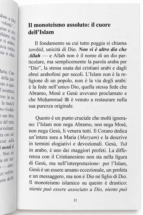 Vi racconto l’Islam – 8 lezioni brevi per chi vuol conoscere