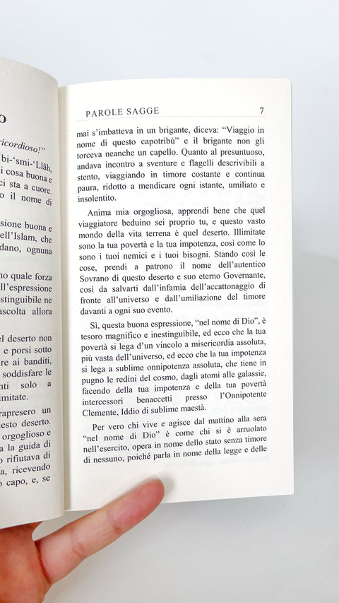 Parole sagge - Said Nursi