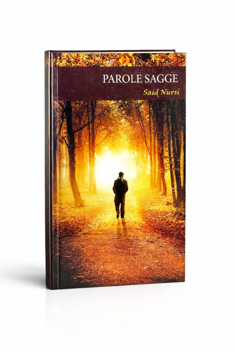 Parole sagge - Said Nursi