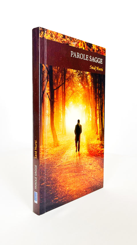 Parole sagge - Said Nursi