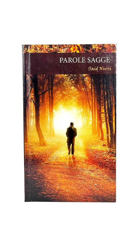 Parole sagge - Said Nursi