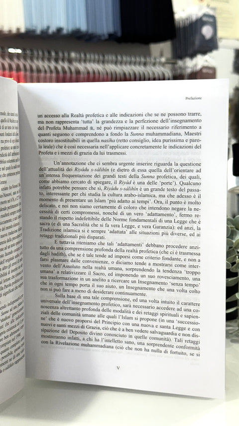 I Giardini dei Devoti - Ar Riyâdu s-sâlihîn - Hijab Paradise  - prefazione - traduzione italiana degli hadit - detti profeta Maometto - detti mohamed sws - hadit