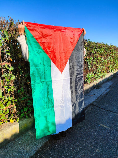 Bandiera Palestina 🇵🇸